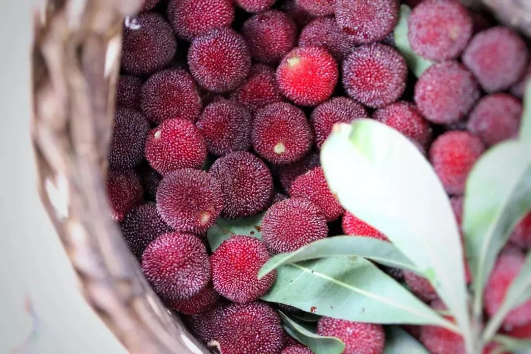 贵阳夏天气温最高多少,贵阳夏天最高气温是多少度