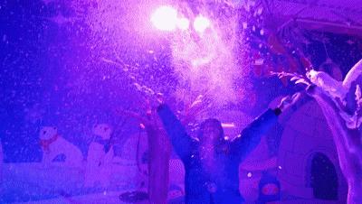 南沙百万葵园免费吗,南沙百万葵园开放时间最新