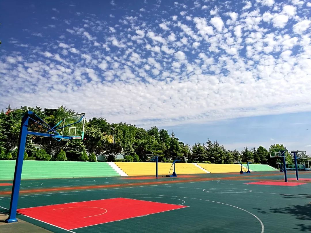 山东交通学院各专业介绍,山东交通职业学院泰山校区