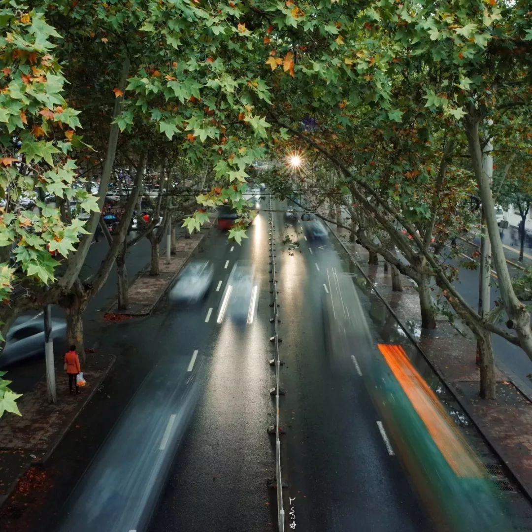 原来，西安还有这样一条“宝藏路”：友谊路