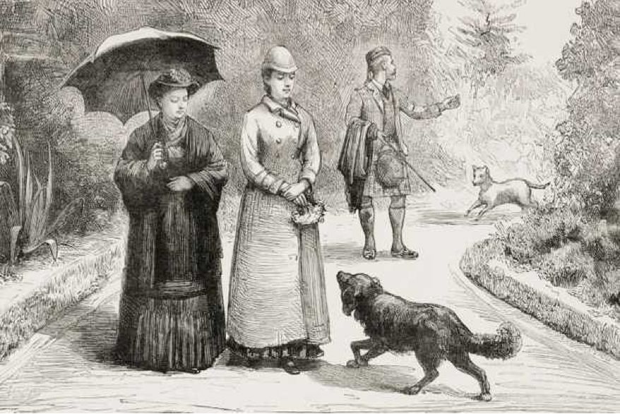 狗粮的历史来历,狗粮发展史大全