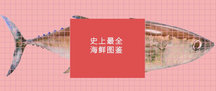 日照有什么好玩的地方,日照金山