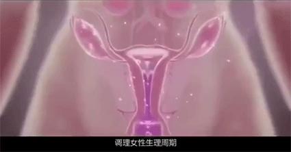 湿气重做什么动作可以排湿,湿气重吃什么药可以快速排湿