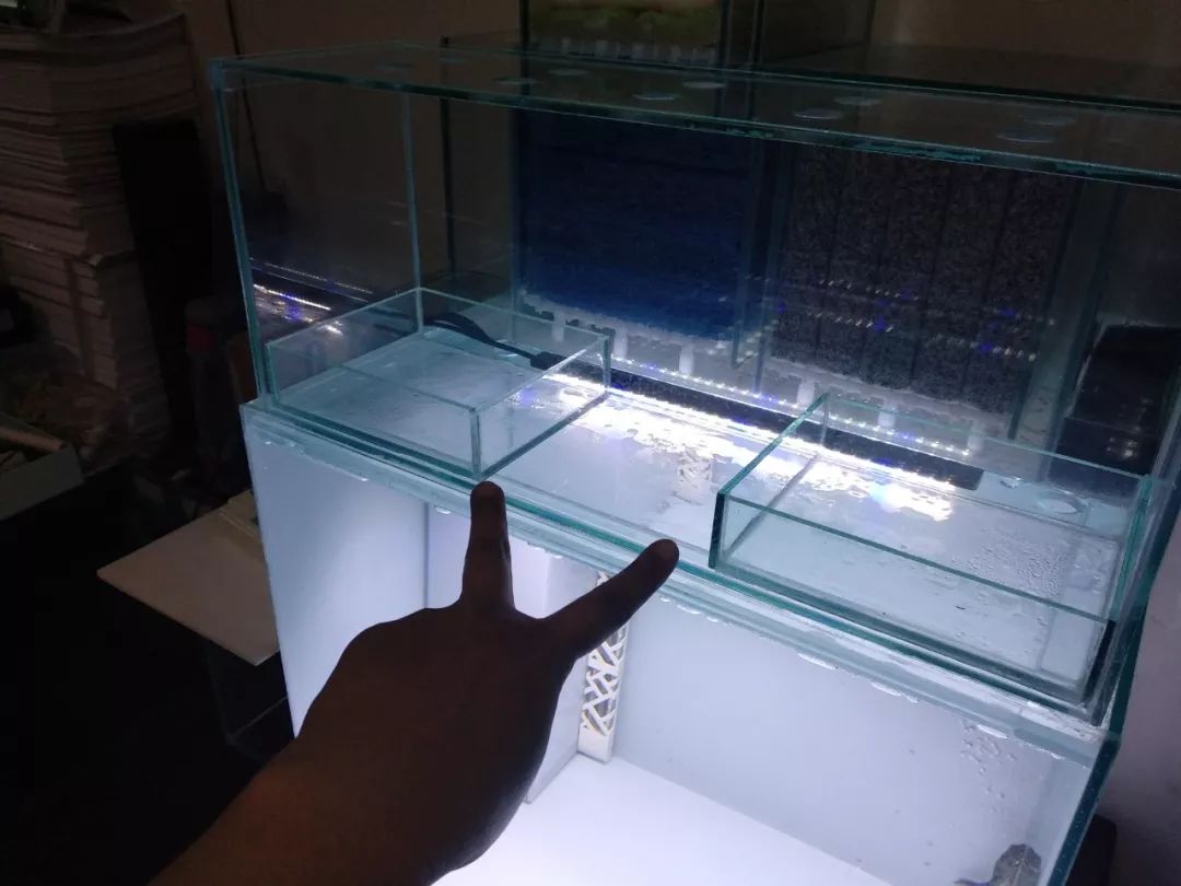 大神「鱼勇」DIY一缸多用“直播”教程，好缸无需再等