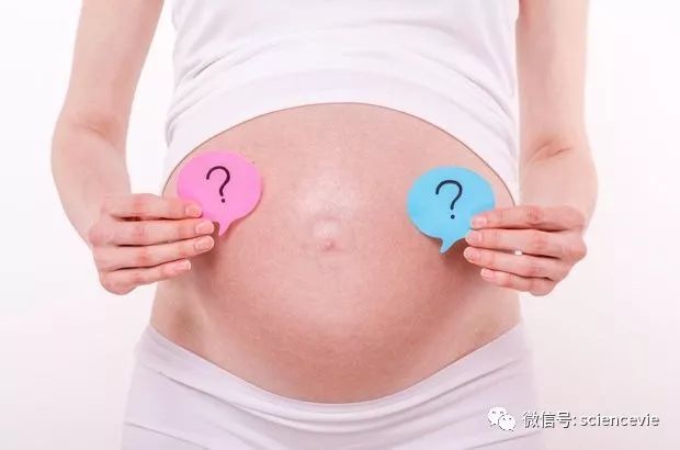 生活压力越大越容易生女儿吗？