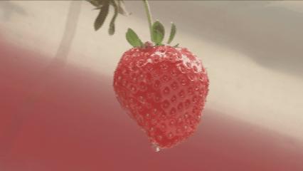 夏邑县美丽乡村介绍,美丽乡村之全景地图夏邑