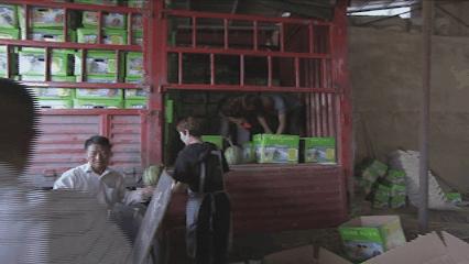 夏邑县美丽乡村介绍,美丽乡村之全景地图夏邑