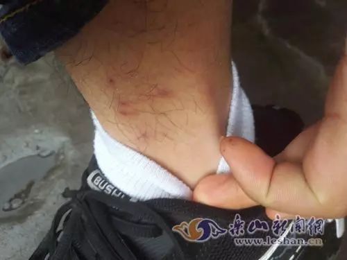 可怕！睡了10年的床垫掀开内部竟这样