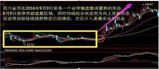 学习真正的股票市场知识,教你了解股票知识点大全