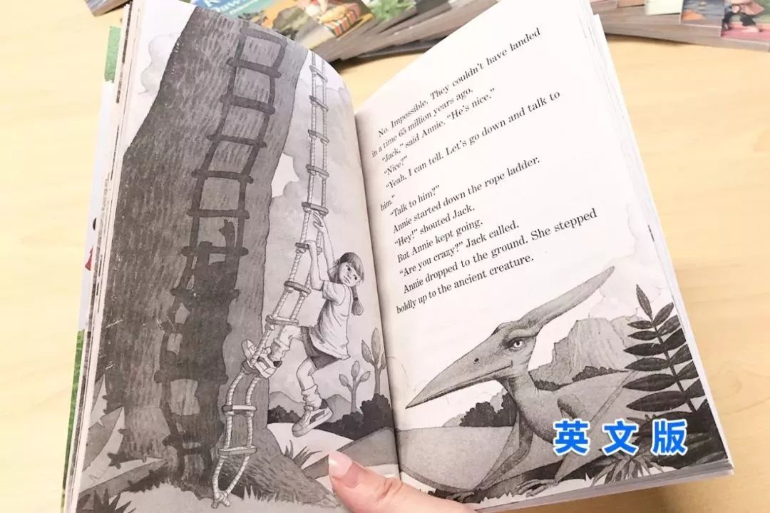 树屋英文原版书单推荐,英文童书神秘树屋