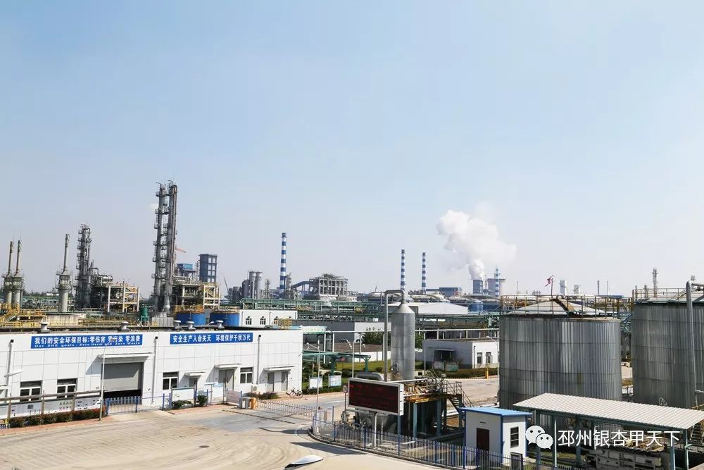 徐州邳州日报,邳州新闻资讯