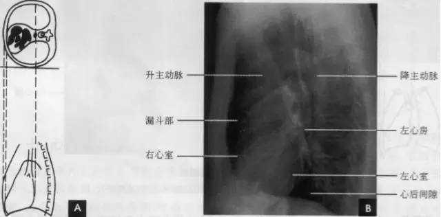 小学学霸学习方法大揭秘,小学学霸学习时间表