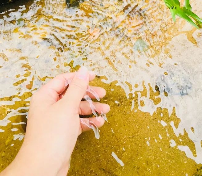 德庆乡村马拉松报名查询,广东德庆第二届乡村马拉松