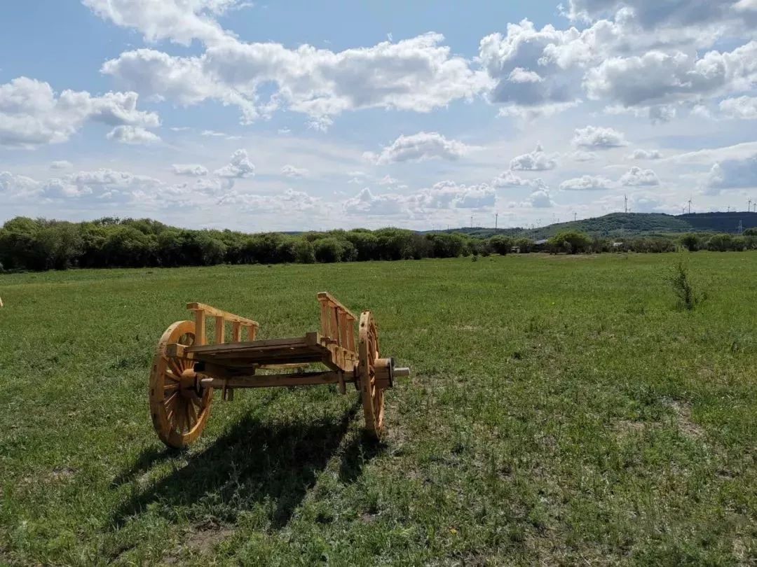 邳州广电直播间,邳州广电直播