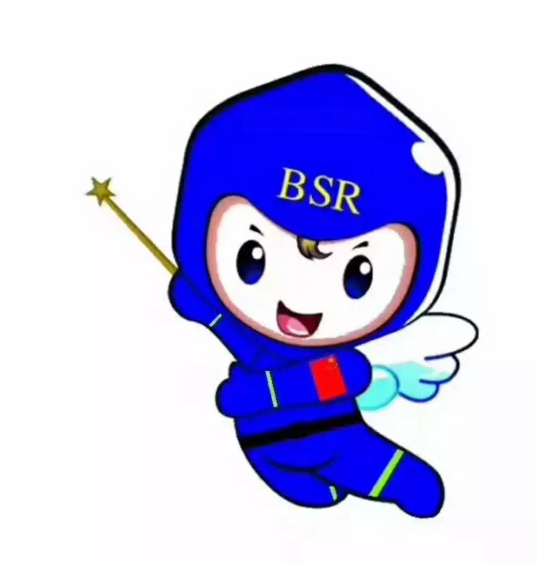 蓝天救援2019工作简介,蓝天救援工作简报