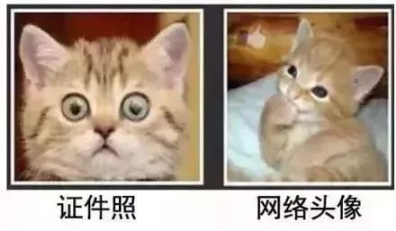 1984年-1993年出生的驻马店人，这件事赶紧去做！不然...