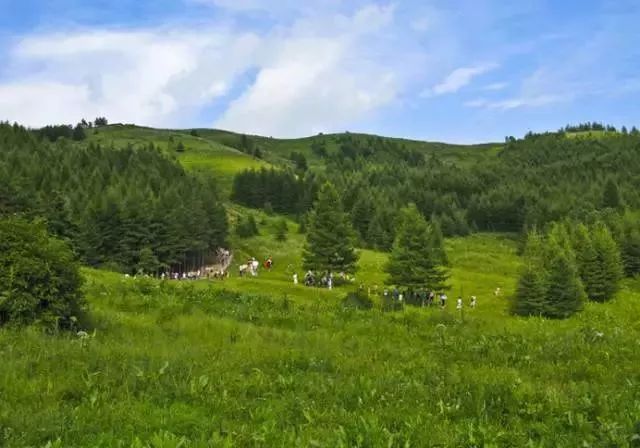 6-8月份石家庄避暑最佳地方,石家庄哪里凉快适合避暑