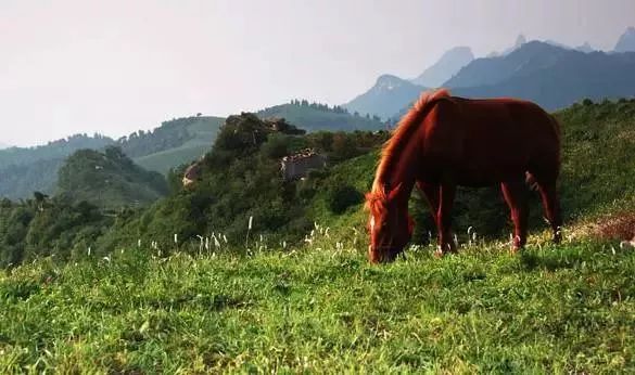 6-8月份石家庄避暑最佳地方,石家庄哪里凉快适合避暑