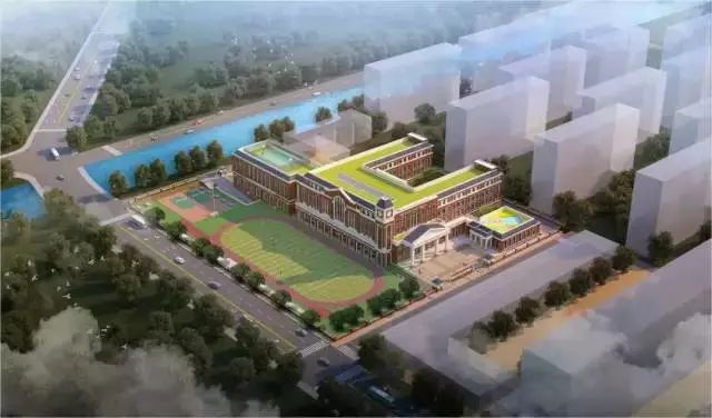 2023年有几所学校投入使用,新区内公办学校有哪些