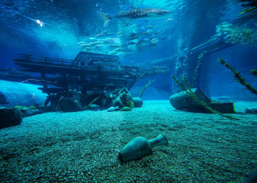 奇积乐园工程队发生巨大冲突 (奇积乐园第一集)