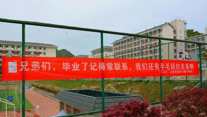 催人泪下的毕业横幅,本科毕业典礼横幅