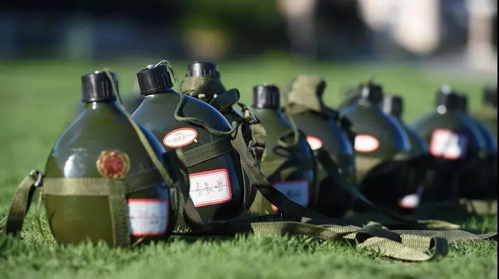 来西双版纳，做大自然的学生|雅居乐·西双林语夏令营开始报名啦