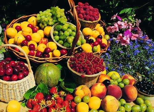 2019上海国际美食展览会,上海中国美食展览会