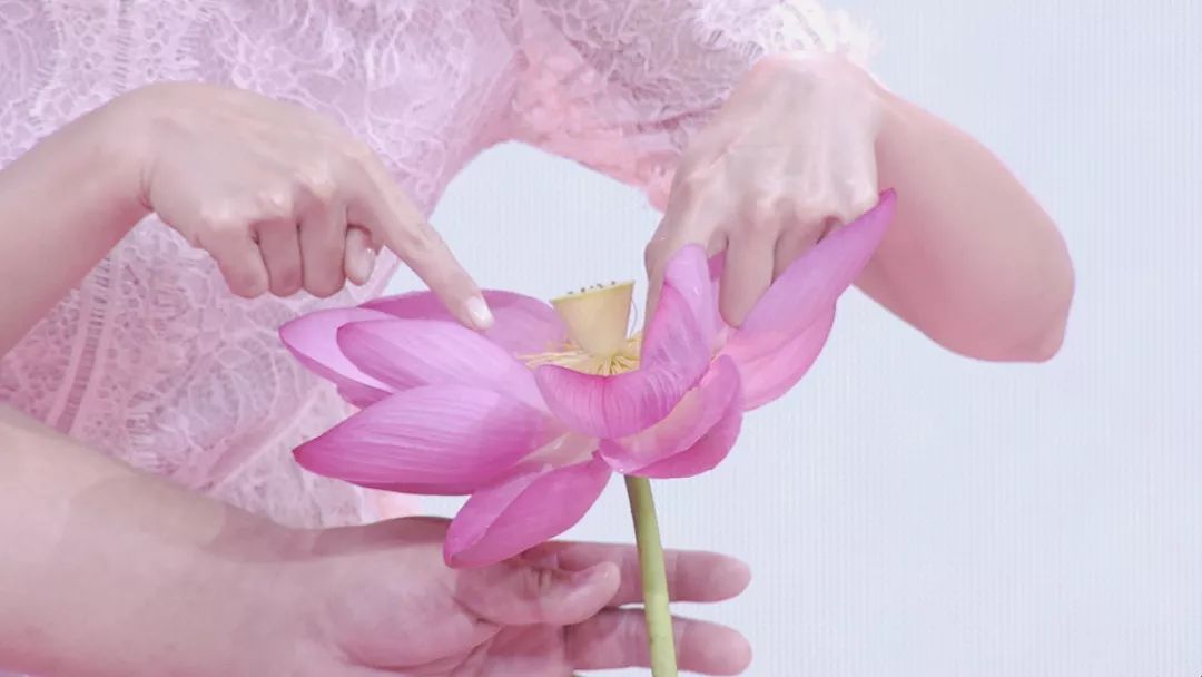 北京卫视养生堂治疗糖尿病肾病,养生堂2023.11.7全集免费