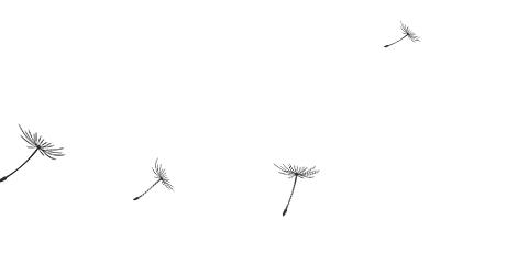 七月的泰达，美到没朋友