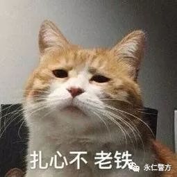 【微提示】“刷单赚钱”是真的吗?这个坑不要再入了!