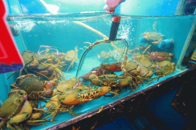 迷踪蟹团购平湖,平湖迷踪蟹优惠团购