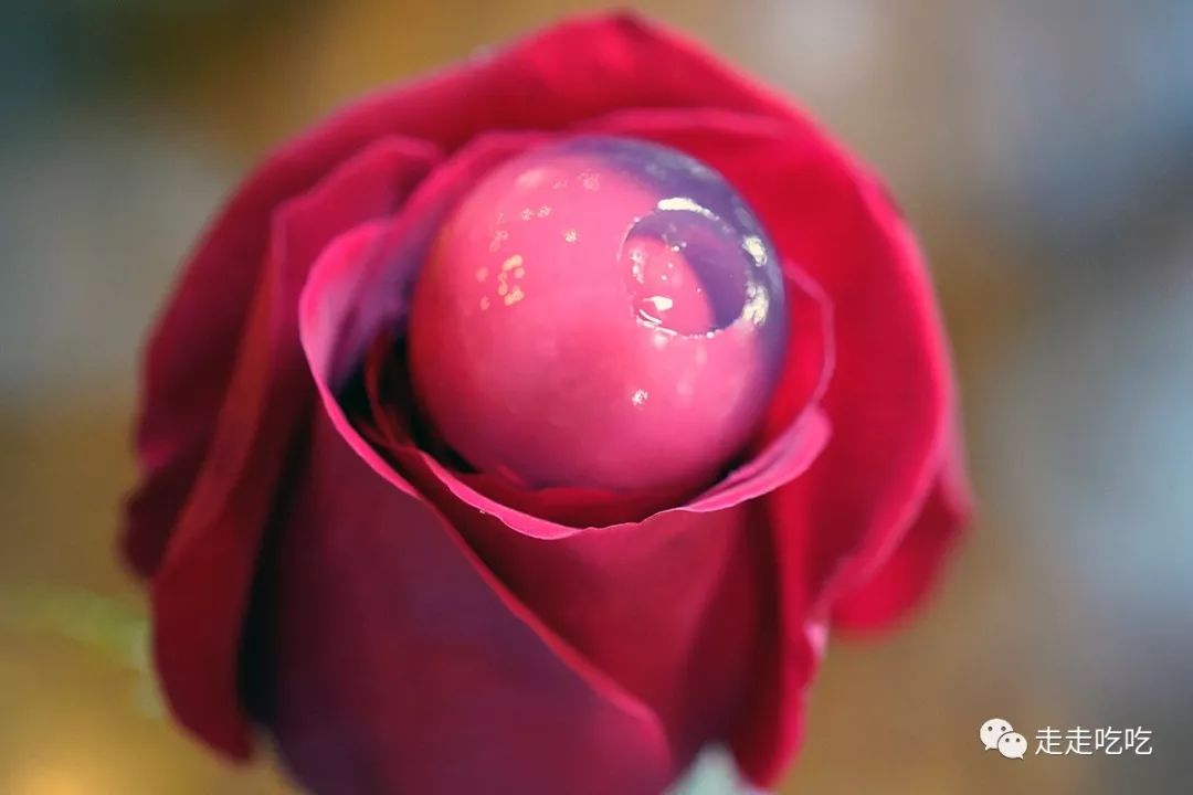 巴塞罗那官网买票攻略,巴塞罗那买车票