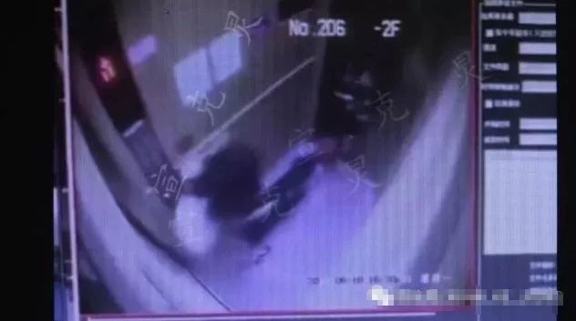 江苏女子给狗狗喂食物被咬,江苏女子被咬狗狗后续