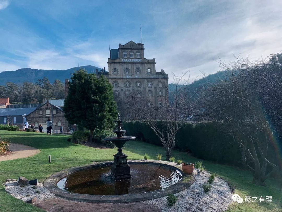 澳洲考拉奶粉好吗,澳洲龙虾奶粉