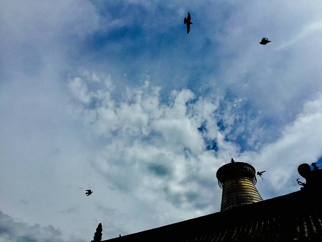 五台山游记200字,五台山七日朝拜攻略