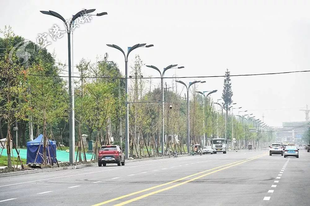 世警会双流,双流民警