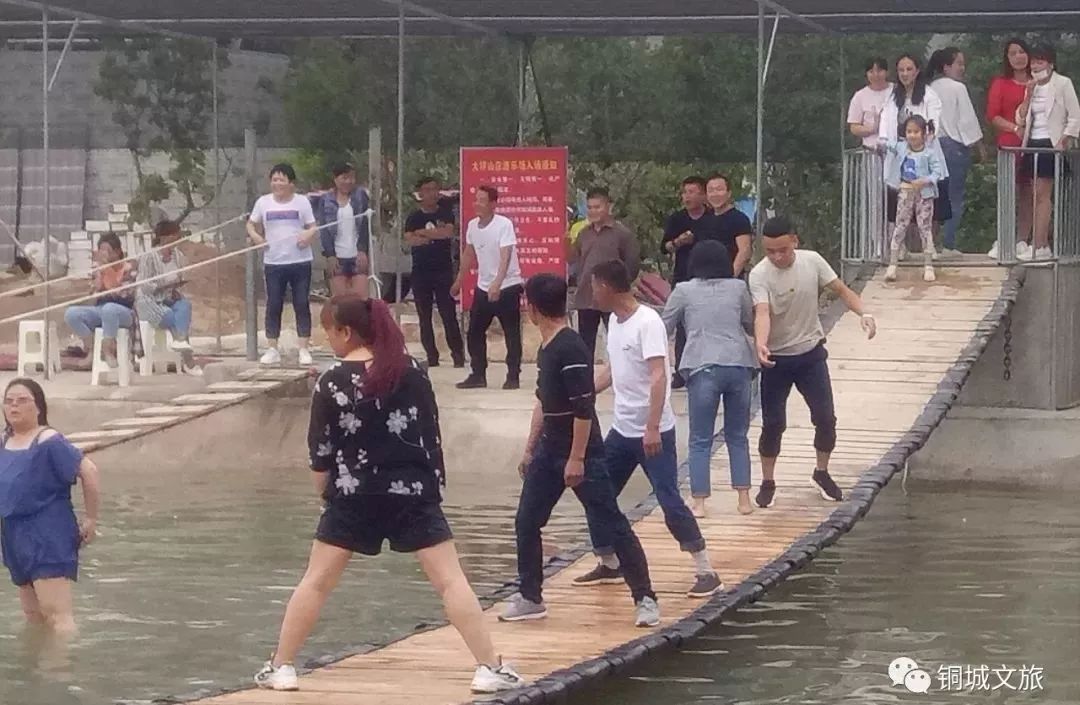 白银市区到大坪花海,去大坪玩攻略