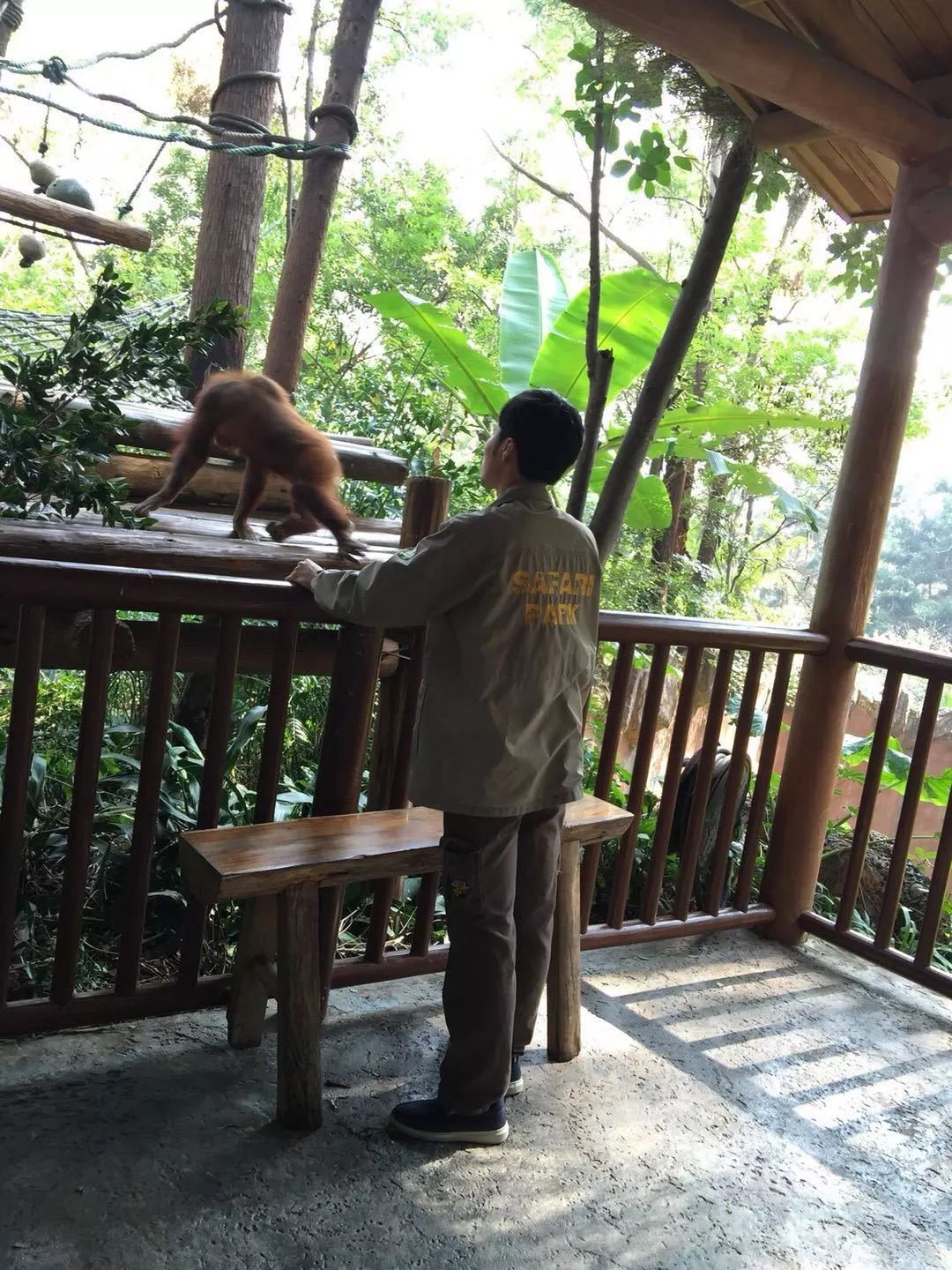 珠海长隆亲子游吃玩住行,长隆动物园攻略亲子游