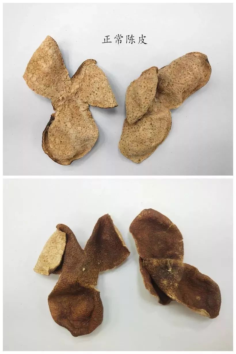 虫蛀的陈皮还能吃吗,陈皮虫蛀了怎么办