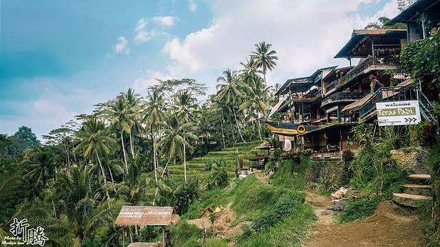 南纬八度.又见BALI