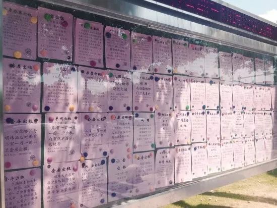 西安毕业生租房政策,西安毕业后租房生活