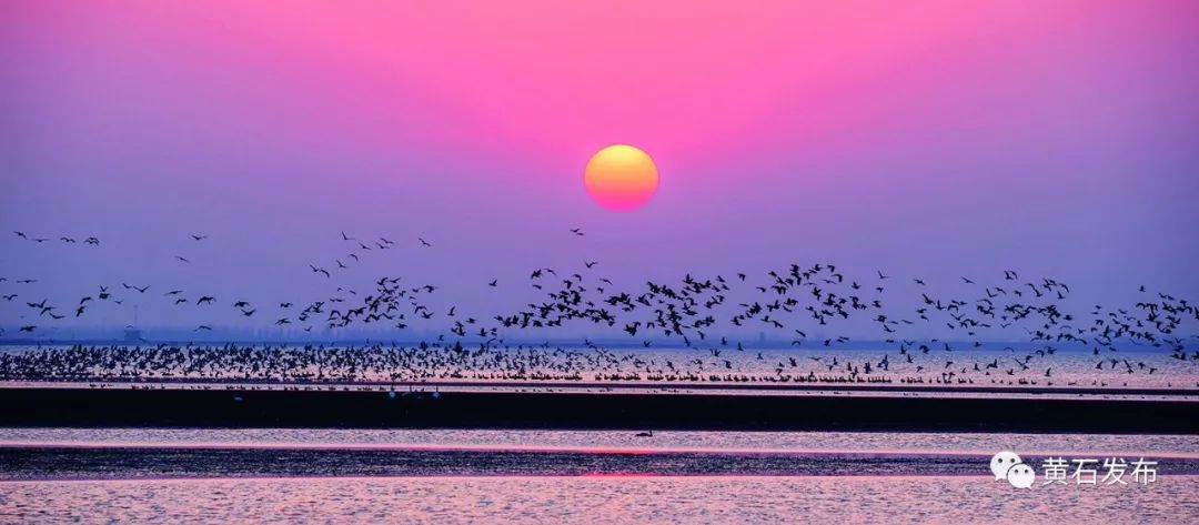 什么是黄石火山,什么是黄石车牌