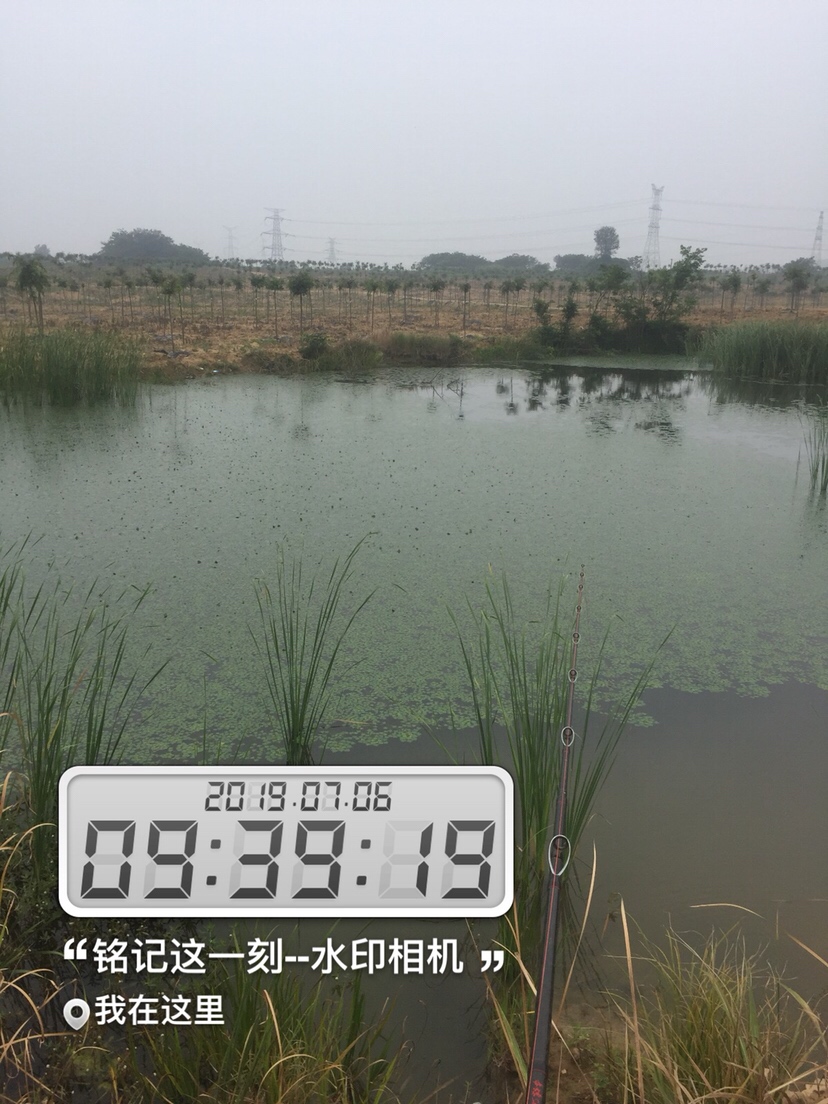 雷强2020年视频,2019雷强视频