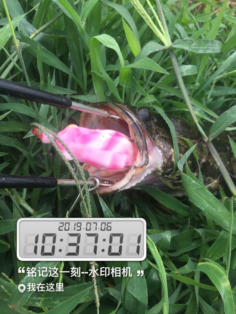 雷强2020年视频,2019雷强视频