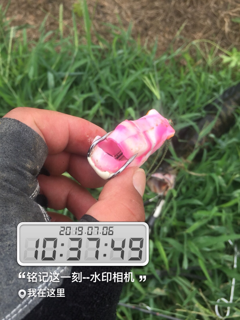 雷强2020年视频,2019雷强视频