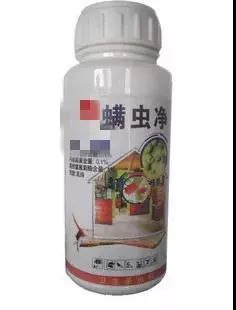 160万只螨虫的克星,4000多条螨虫