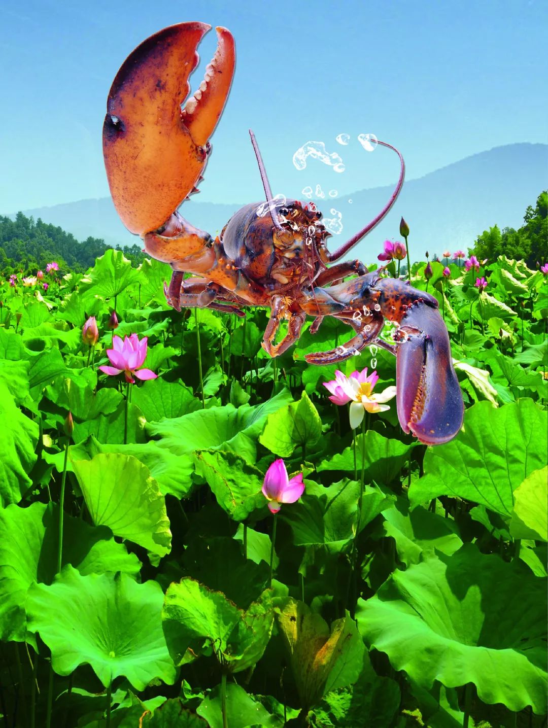 动物谷乐园,动物山谷乐园