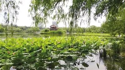 呼和浩特周边踏青一日游,呼和浩特周末好去处亲近大自然