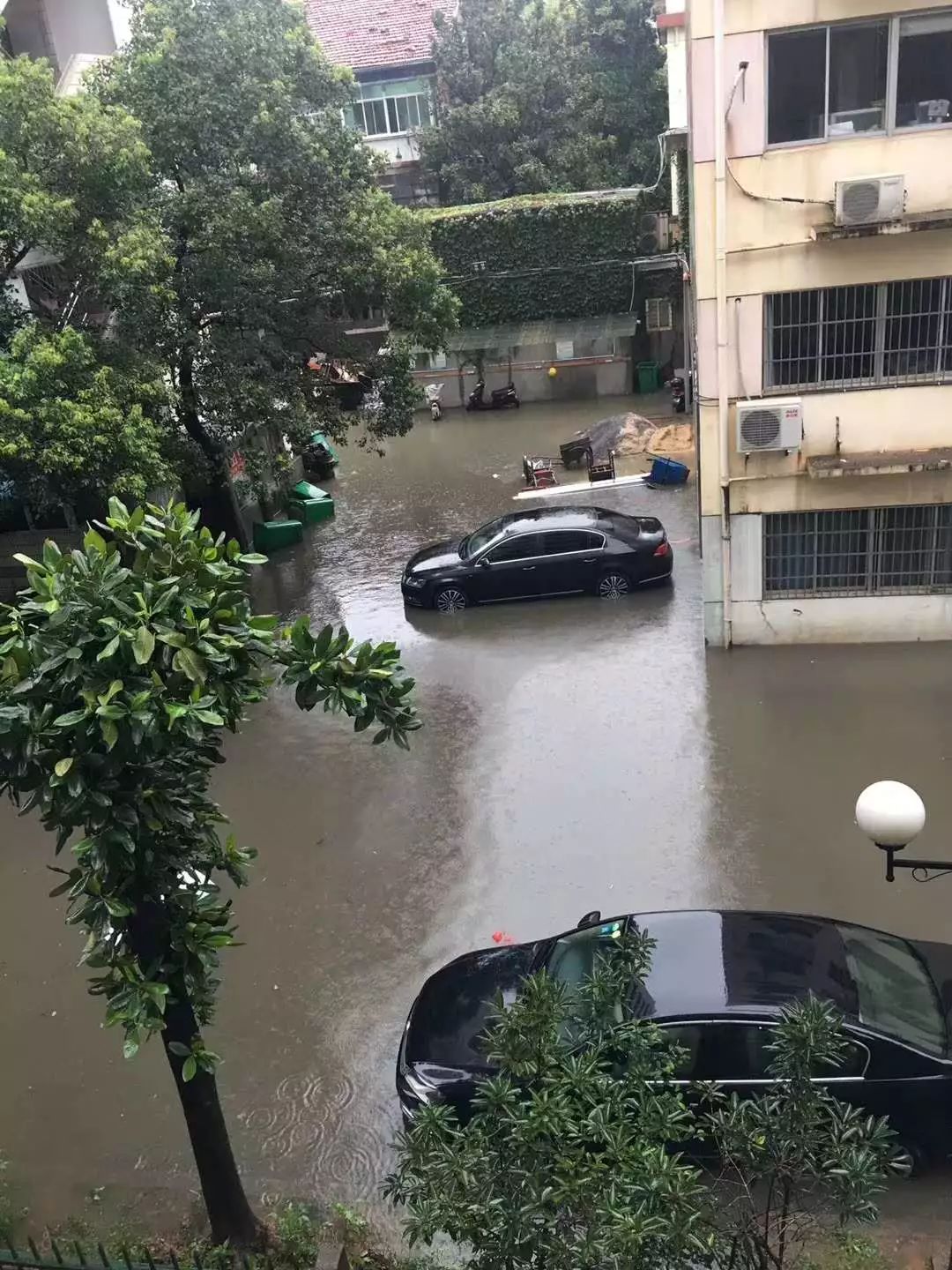 暴雨天出门，江西男子染上这种病！医生提醒：严重可致命