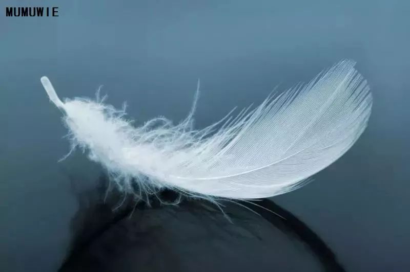 丢掉大妈*裤内**！换上它，清爽舒服，连老公都夸漂亮